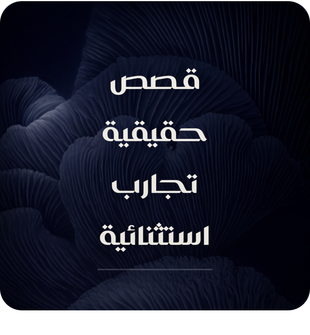 تصميم بدون عنوان (1)